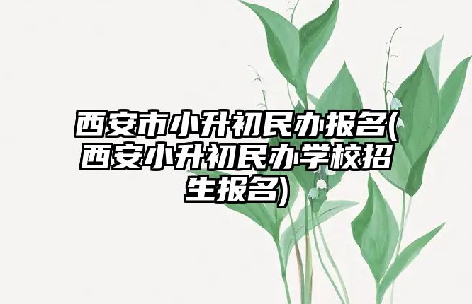 西安市小升初民辦報名(西安小升初民辦學(xué)校招生報名)