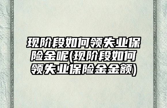 現(xiàn)階段如何領失業(yè)保險金呢(現(xiàn)階段如何領失業(yè)保險金金額)