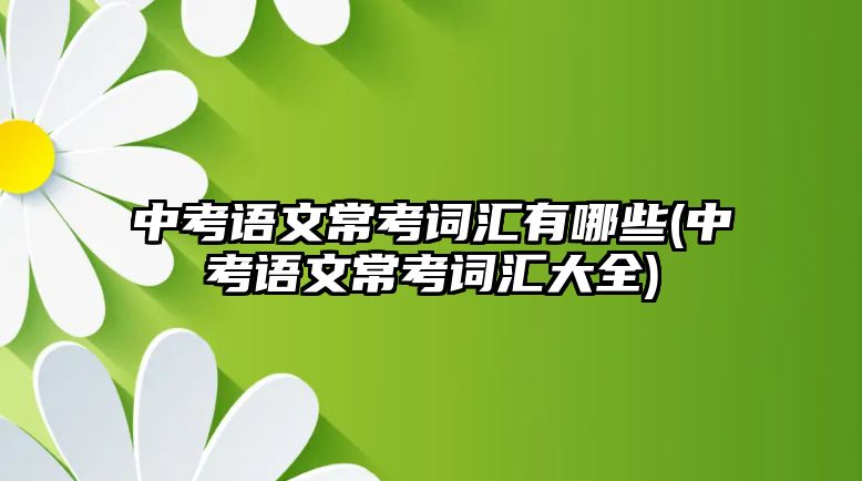 中考語文?？荚~匯有哪些(中考語文?？荚~匯大全)