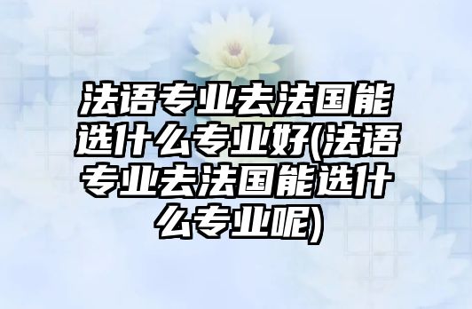 法語(yǔ)專業(yè)去法國(guó)能選什么專業(yè)好(法語(yǔ)專業(yè)去法國(guó)能選什么專業(yè)呢)