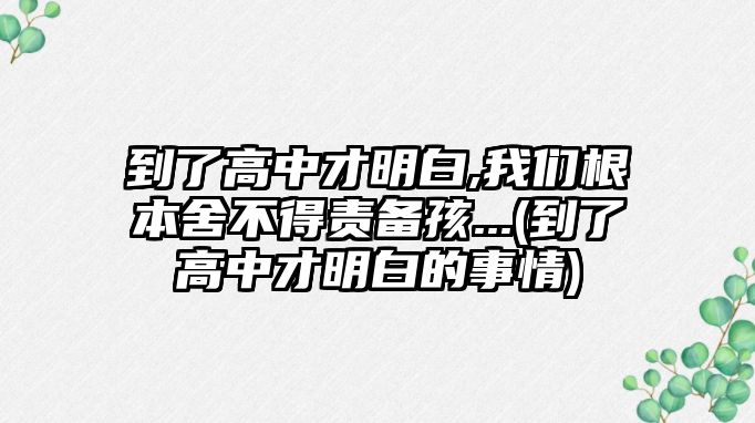 到了高中才明白,我們根本舍不得責(zé)備孩...(到了高中才明白的事情)