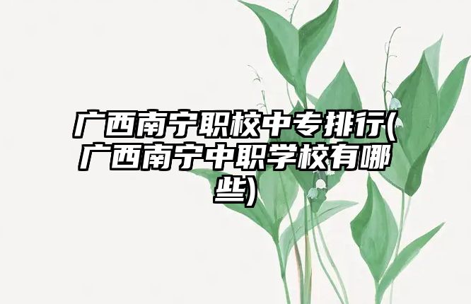 廣西南寧職校中專排行(廣西南寧中職學(xué)校有哪些)