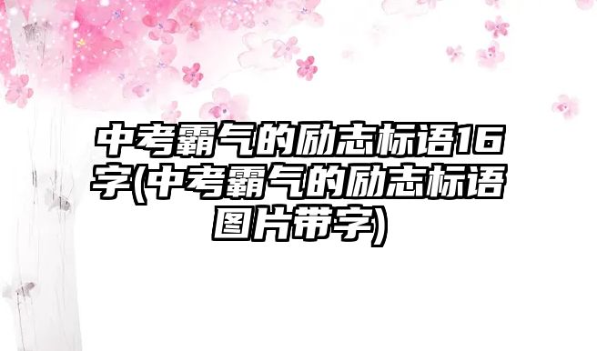 中考霸氣的勵志標(biāo)語16字(中考霸氣的勵志標(biāo)語圖片帶字)