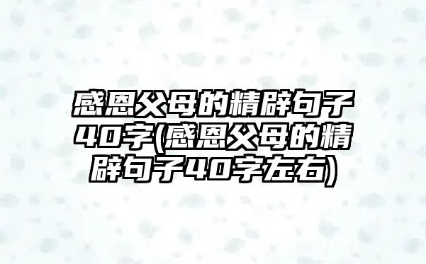 感恩父母的精辟句子40字(感恩父母的精辟句子40字左右)