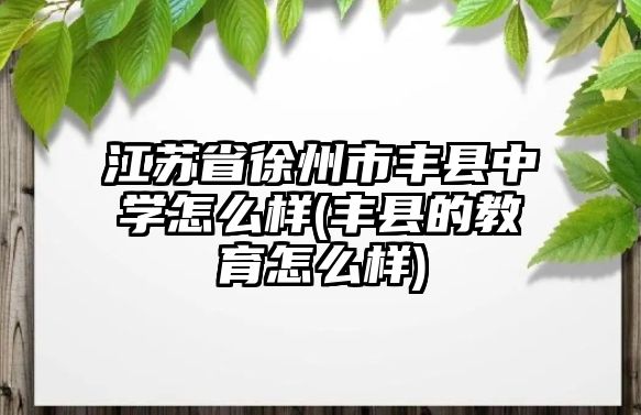 江蘇省徐州市豐縣中學(xué)怎么樣(豐縣的教育怎么樣)