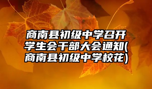 商南縣初級(jí)中學(xué)召開學(xué)生會(huì)干部大會(huì)通知(商南縣初級(jí)中學(xué)校花)