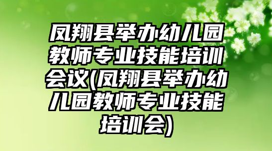 鳳翔縣舉辦幼兒園教師專業(yè)技能培訓(xùn)會議(鳳翔縣舉辦幼兒園教師專業(yè)技能培訓(xùn)會)