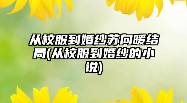 從校服到婚紗蘇向暖結(jié)局(從校服到婚紗的小說(shuō))