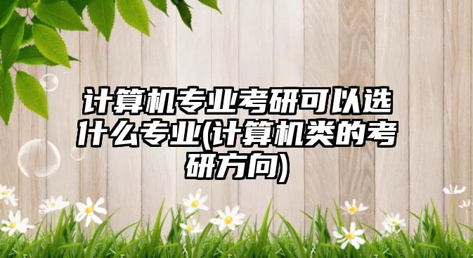 計(jì)算機(jī)專業(yè)考研可以選什么專業(yè)(計(jì)算機(jī)類的考研方向)