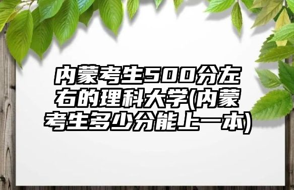 內(nèi)蒙考生500分左右的理科大學(xué)(內(nèi)蒙考生多少分能上一本)