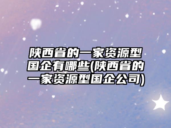 陜西省的一家資源型國(guó)企有哪些(陜西省的一家資源型國(guó)企公司)