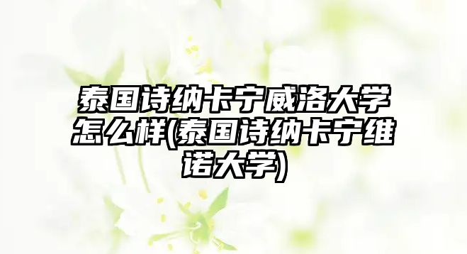 泰國詩納卡寧威洛大學(xué)怎么樣(泰國詩納卡寧維諾大學(xué))