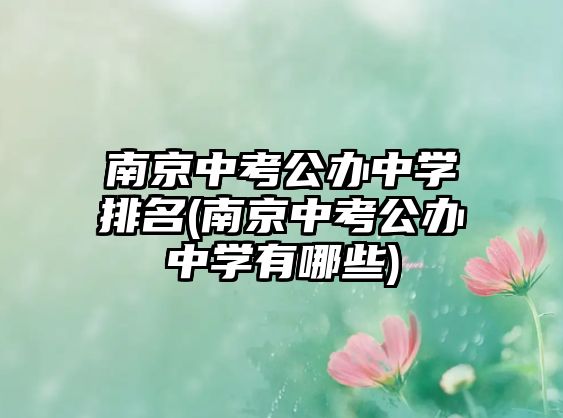 南京中考公辦中學排名(南京中考公辦中學有哪些)