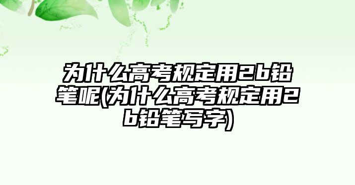 為什么高考規(guī)定用2b鉛筆呢(為什么高考規(guī)定用2b鉛筆寫字)