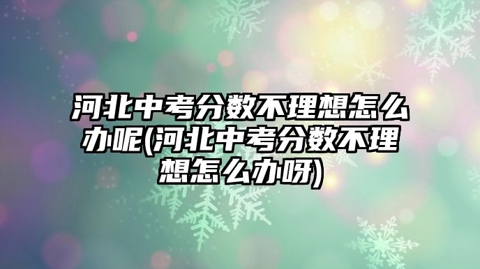 河北中考分數(shù)不理想怎么辦呢(河北中考分數(shù)不理想怎么辦呀)