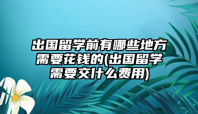 出國留學(xué)前有哪些地方需要花錢的(出國留學(xué)需要交什么費(fèi)用)