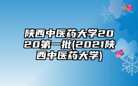 陜西中醫(yī)藥大學2020第一批(2021陜西中醫(yī)藥大學)