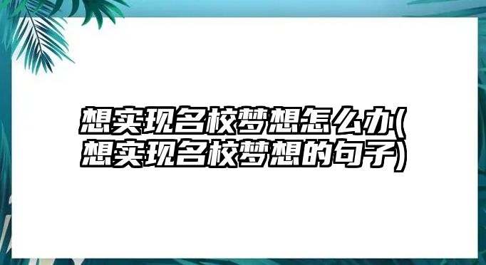 想實現(xiàn)名校夢想怎么辦(想實現(xiàn)名校夢想的句子)