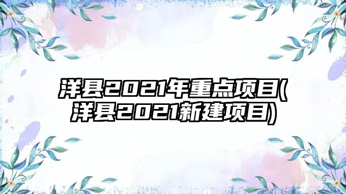 洋縣2021年重點項目(洋縣2021新建項目)