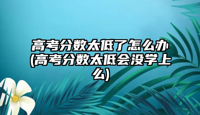 高考分?jǐn)?shù)太低了怎么辦(高考分?jǐn)?shù)太低會(huì)沒學(xué)上么)