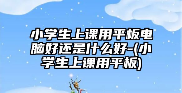 小學(xué)生上課用平板電腦好還是什么好-(小學(xué)生上課用平板)