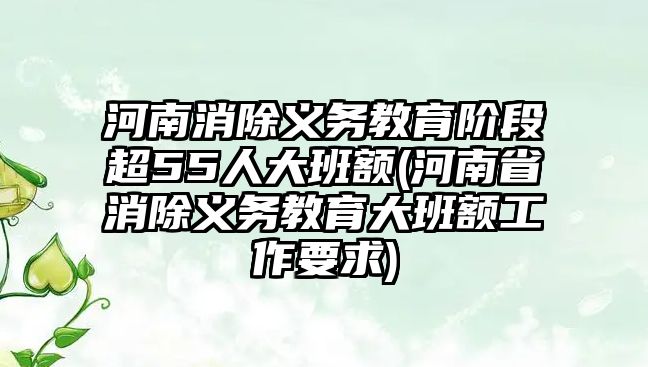 河南消除義務(wù)教育階段超55人大班額(河南省消除義務(wù)教育大班額工作要求)