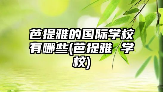 芭提雅的國際學校有哪些(芭提雅 學校)