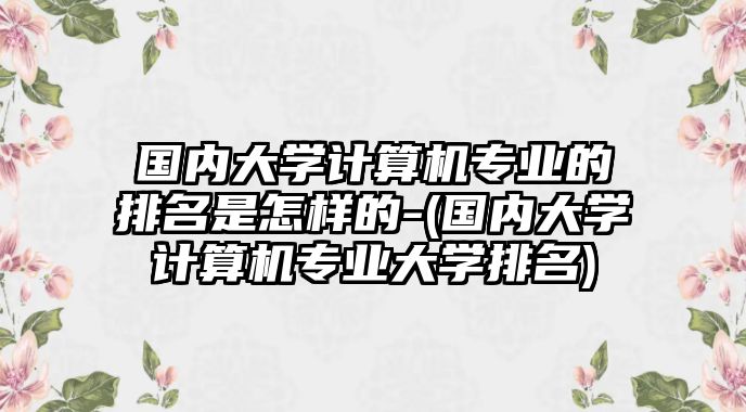 國內(nèi)大學(xué)計算機專業(yè)的排名是怎樣的-(國內(nèi)大學(xué)計算機專業(yè)大學(xué)排名)