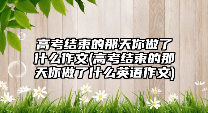 高考結(jié)束的那天你做了什么作文(高考結(jié)束的那天你做了什么英語作文)