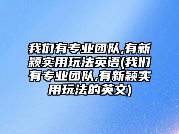 我們有專業(yè)團(tuán)隊(duì),有新穎實(shí)用玩法英語(yǔ)(我們有專業(yè)團(tuán)隊(duì),有新穎實(shí)用玩法的英文)