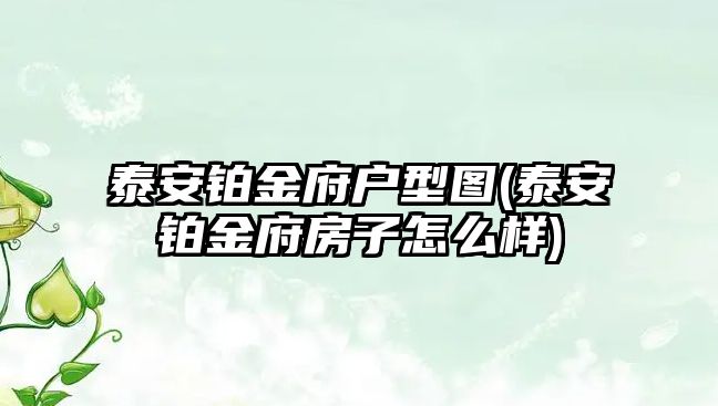 泰安鉑金府戶型圖(泰安鉑金府房子怎么樣)