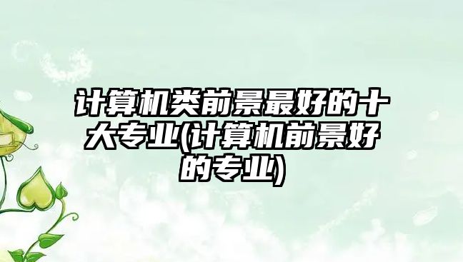 計算機類前景最好的十大專業(yè)(計算機前景好的專業(yè))