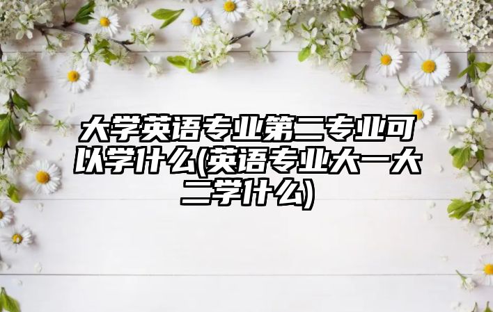 大學(xué)英語專業(yè)第二專業(yè)可以學(xué)什么(英語專業(yè)大一大二學(xué)什么)