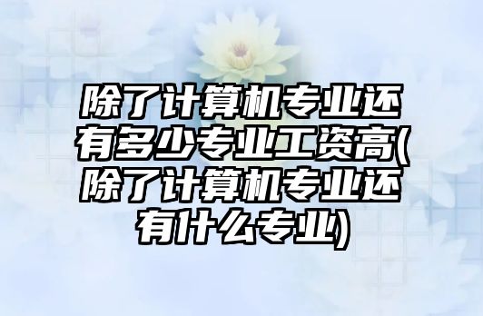 除了計算機(jī)專業(yè)還有多少專業(yè)工資高(除了計算機(jī)專業(yè)還有什么專業(yè))