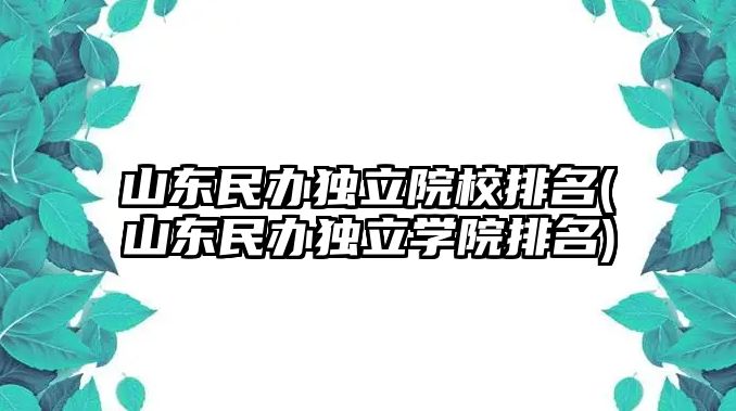 山東民辦獨立院校排名(山東民辦獨立學院排名)