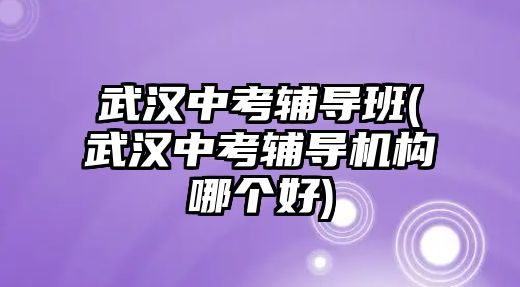 武漢中考輔導(dǎo)班(武漢中考輔導(dǎo)機構(gòu)哪個好)