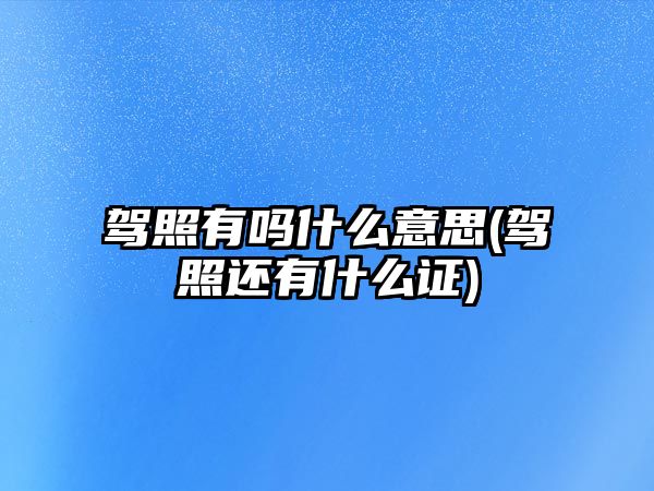 駕照有嗎什么意思(駕照還有什么證)