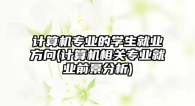 計算機(jī)專業(yè)的學(xué)生就業(yè)方向(計算機(jī)相關(guān)專業(yè)就業(yè)前景分析)