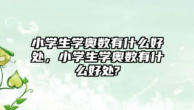 小學生學奧數有什么好處，小學生學奧數有什么好處?