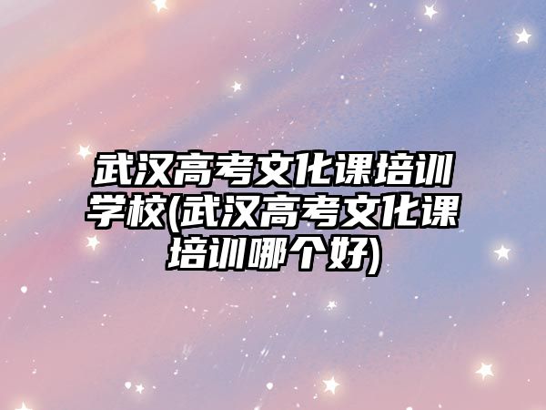 武漢高考文化課培訓(xùn)學(xué)校(武漢高考文化課培訓(xùn)哪個好)