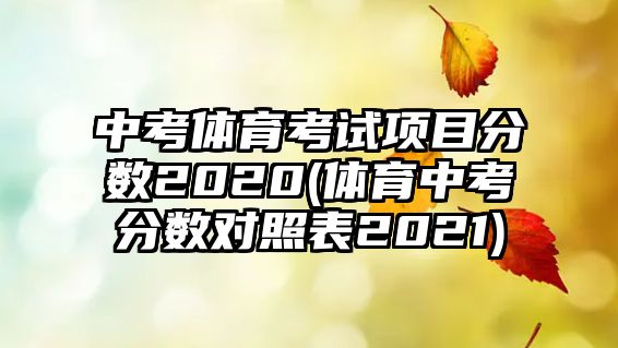 中考體育考試項(xiàng)目分?jǐn)?shù)2020(體育中考分?jǐn)?shù)對照表2021)