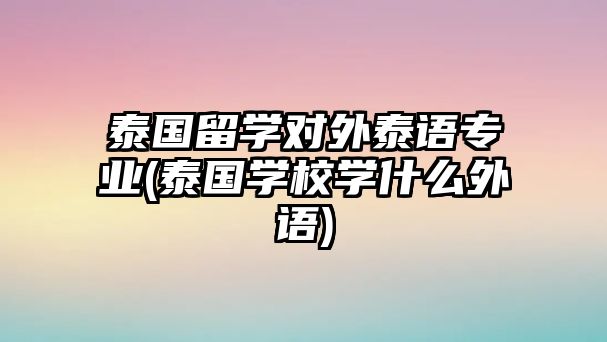 泰國留學(xué)對(duì)外泰語專業(yè)(泰國學(xué)校學(xué)什么外語)