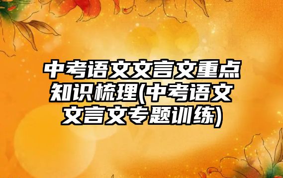 中考語文文言文重點知識梳理(中考語文文言文專題訓(xùn)練)