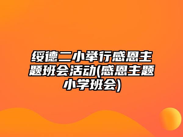 綏德二小舉行感恩主題班會活動(感恩主題小學班會)