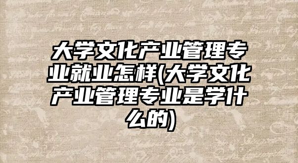 大學文化產業(yè)管理專業(yè)就業(yè)怎樣(大學文化產業(yè)管理專業(yè)是學什么的)