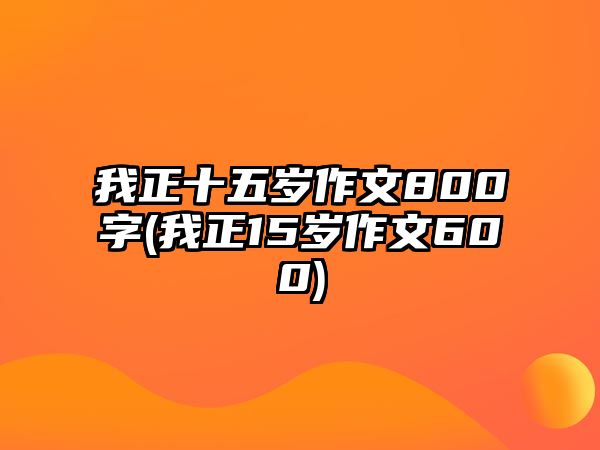 我正十五歲作文800字(我正15歲作文600)