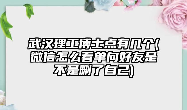 武漢理工博士點(diǎn)有幾個(gè)(微信怎么看單向好友是不是刪了自己)