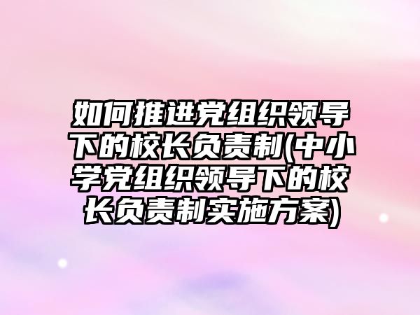 如何推進(jìn)黨組織領(lǐng)導(dǎo)下的校長負(fù)責(zé)制(中小學(xué)黨組織領(lǐng)導(dǎo)下的校長負(fù)責(zé)制實施方案)