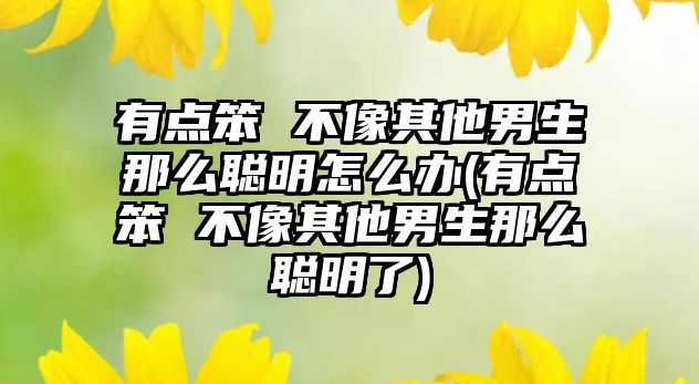 有點笨 不像其他男生那么聰明怎么辦(有點笨 不像其他男生那么聰明了)