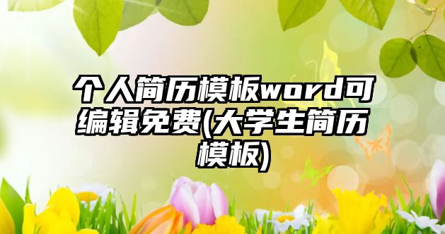 個人簡歷模板word可編輯免費(大學生簡歷 模板)